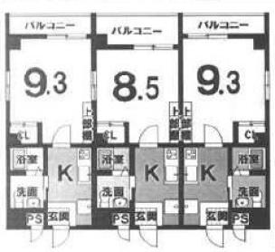 西京極駅/一棟マンション/鉄骨造6階建/1K×16 店舗/設備充実 間取り